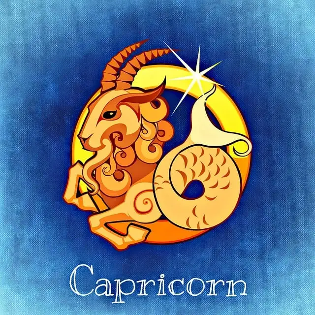 Capricorn Horoscope(Dec 22-Jan 19)